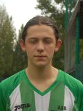 ALVISE